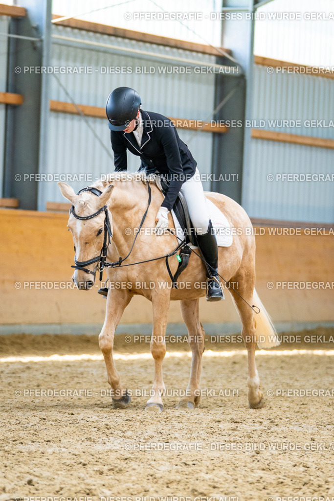 DSC09406 | Pferdegrafie