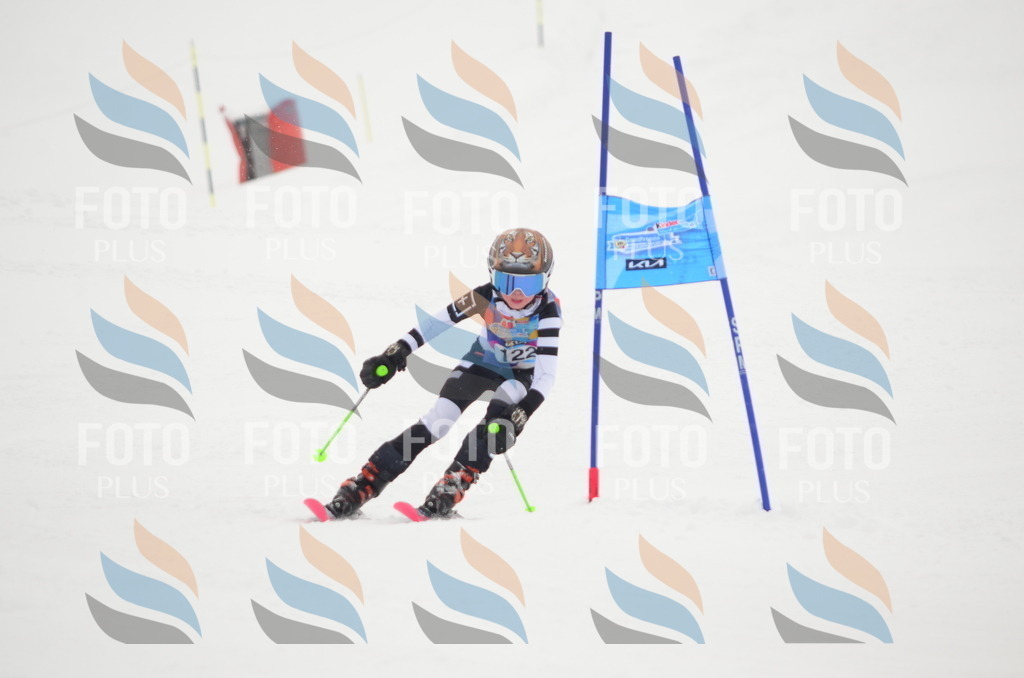 C1557 | holidayphoto