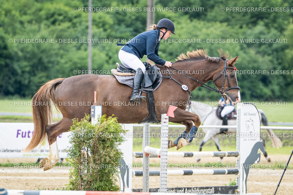 DSC04274 | Pferdegrafie