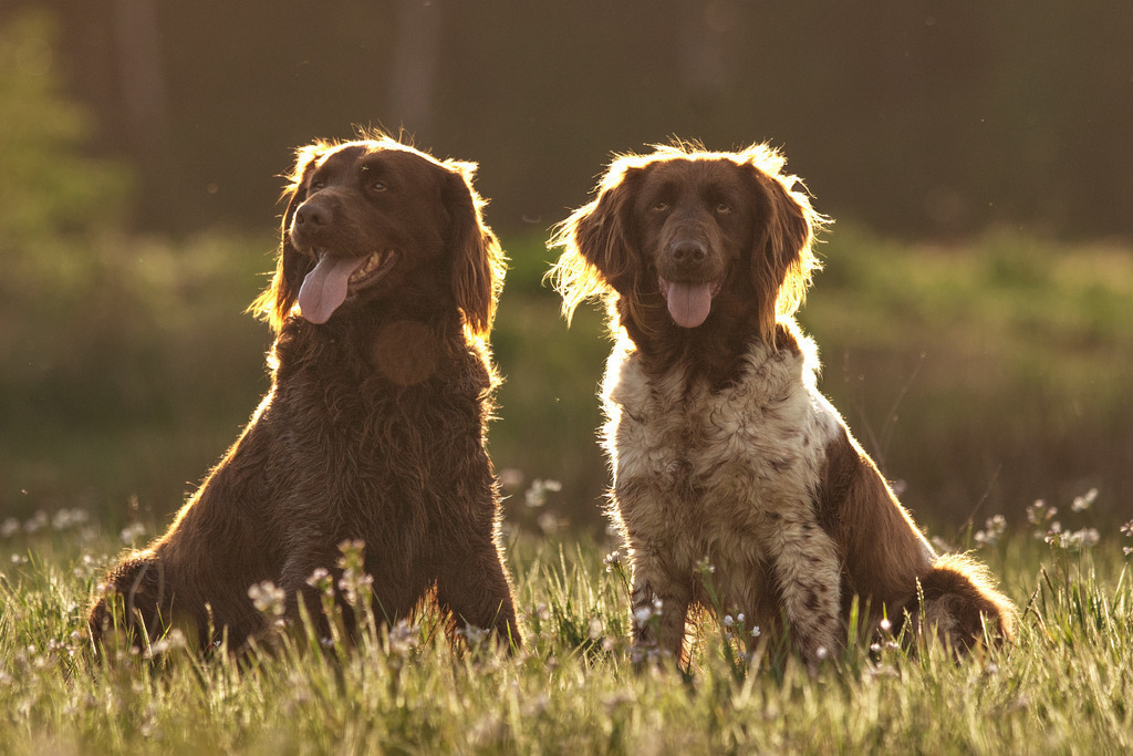 Asko x Nika | photography by friederike - Realisiert mit Pictrs.com