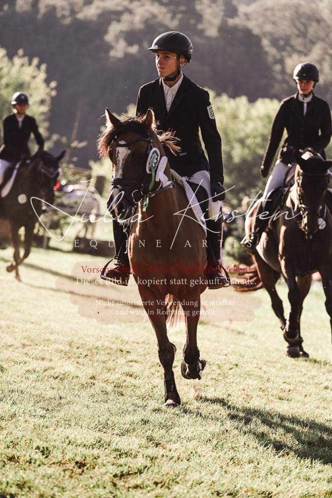 DSC_4640 | Pferde- und Turnierfotografie in Westsachsen. Pferdeportraits, Auftragszeichnungen und intuitive Kunst.