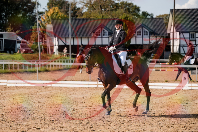 2026_10_03_Siefer-Hof_125543_Z63_62738473 | Professionelle Reitsport-, Turnier- und Eventfotografie von Robert Broda. Galerien mit ausgewählten und bearbeiteten Bildern direkt online ansehen und bestellen.