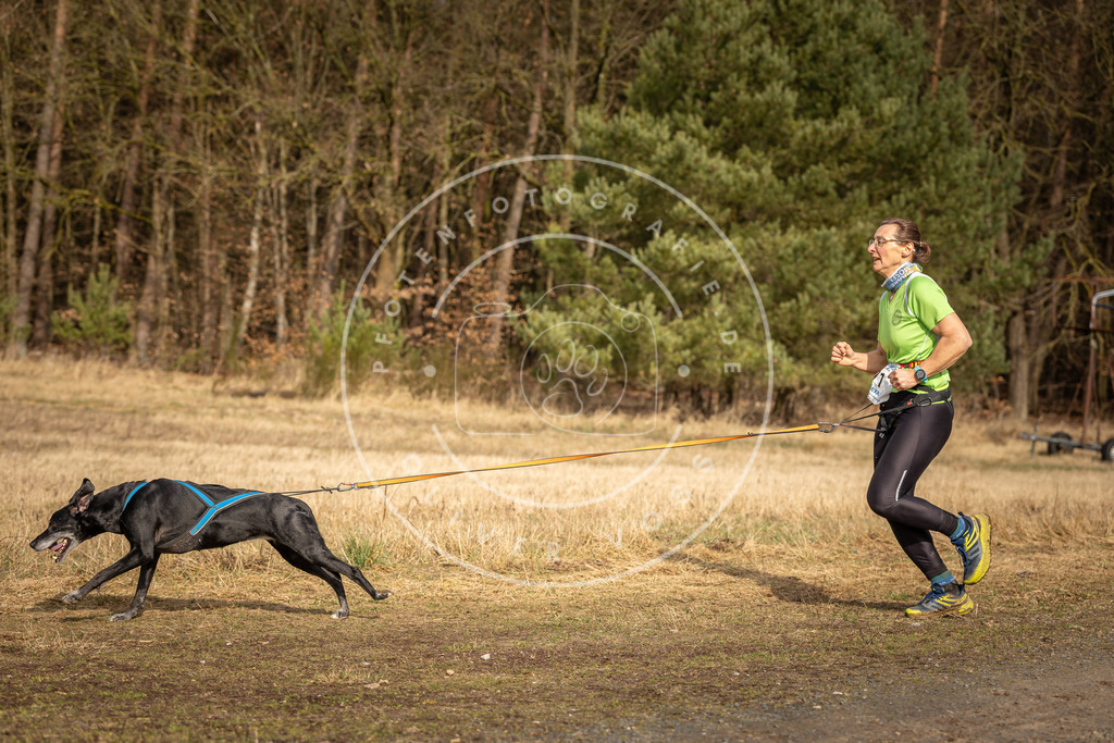 DV3A3731 | Hundefotografie, Tierfotograf, Pfotenfotografie, Fotoshooting Hund, Hunde Portrait, Hundesport, Hundeportraits, Heideshooting, Hunde, Sportfotograf, Hundefotograf, Turnierhundsport, THS,  - Realisiert mit Pictrs.com