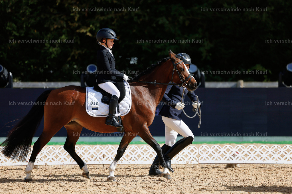 01--Ponyführzügel -StoibPH-6738 | working equitationturnier fotograf videograf stoibphotography marixx film working equitation deutschland reitsport turnierfotografie eventfotografie equestrian events