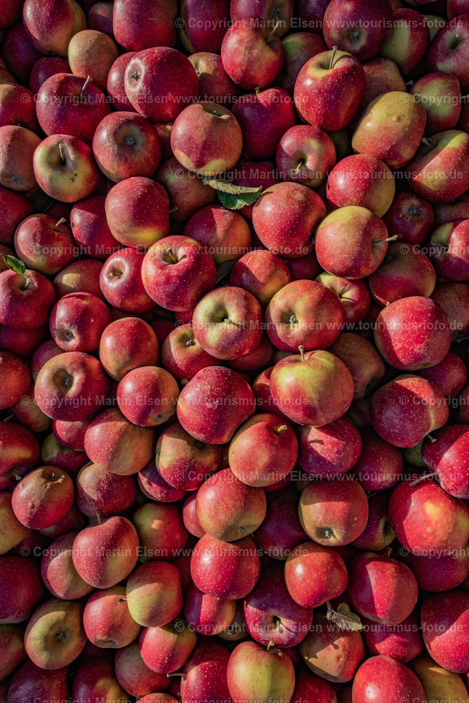 Altes Land Tourismus_ELS_3402061022 | Fotos aus den Touristenorten aus Norddeutschland. - Realisiert mit Pictrs.com