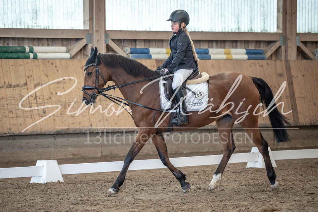 20251011-_3LI8442 | Tierfotografie Pferde, Hunde, Katzen, Haustiere.
Turnierfotografie Reitturniere, Reiten, Springreiten, Dressur in Hanau, dem Main-Kinzig-Kreis und dem Rhein-Main- Gebiet um Frankfurt
