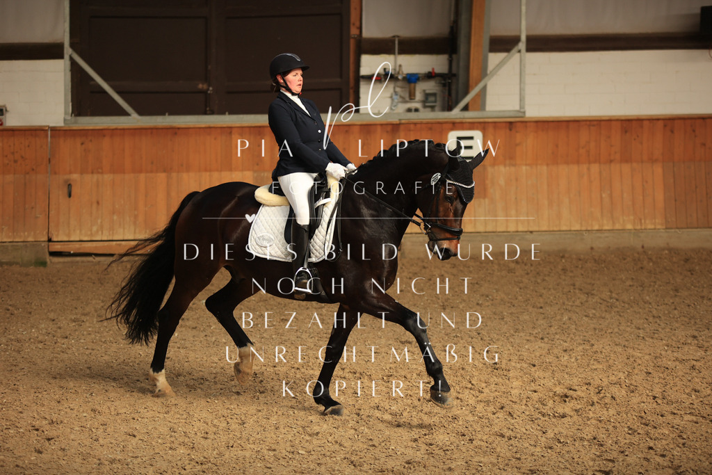 IMGT4674 | pl-fotografie