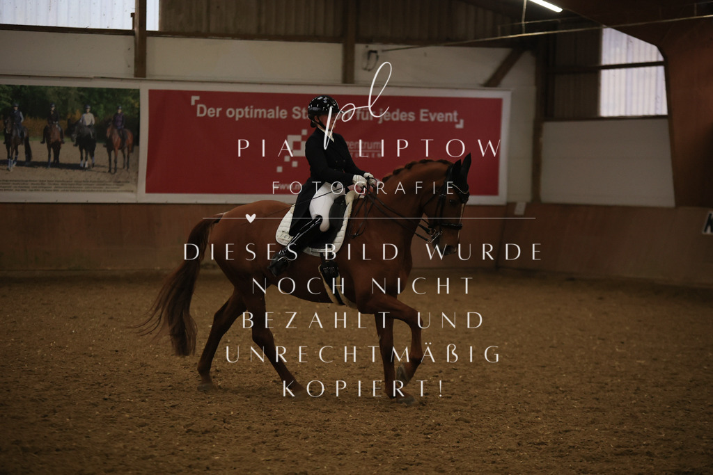 IMGT6399 | pl-fotografie