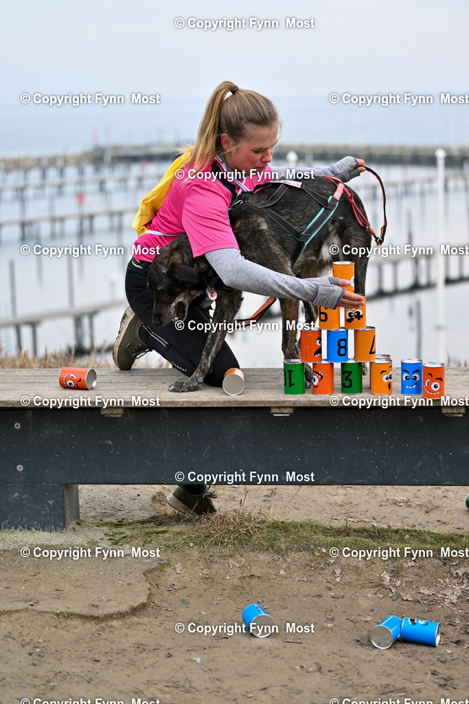 DSC_2678 | Hallo und herzlich Willkommen auf meiner Shop-Seite Fynn Most.

Ich wünsche Dir viel Spaß beim stöbern durch die Bilder, wenn Du Fragen hast oder Bilder vermisst, kannst du mir gerne eine Nachricht schreiben. - Realisiert mit Pictrs.com
