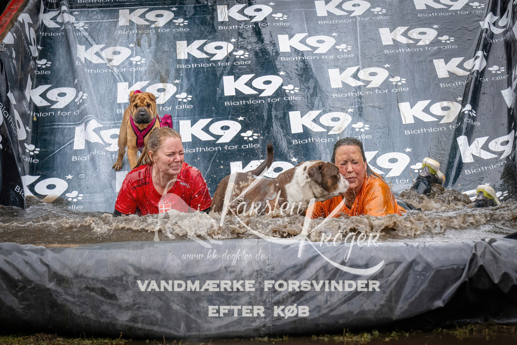 1237_ZZ90325 | kk-dogfotos