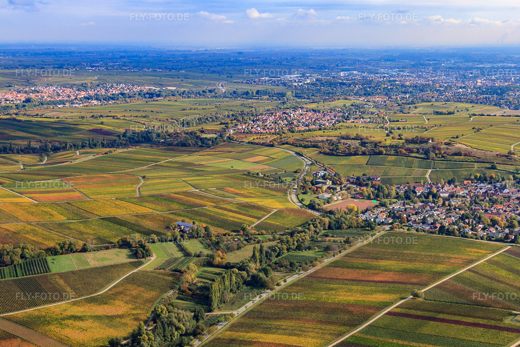 Luftbild: Winzerdorf an der kleinen Kalmit von Westen in Ilbesheim bei Landau im Bundesland Rheinland-Pfalz in Deutschland. Foto: IMG_22370.jpg vom 15.10.2009 durch Werner Riehm/FLY-FOTO.de