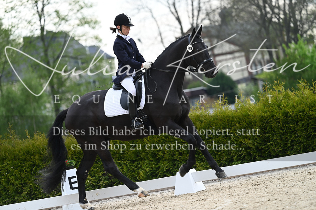 20230512_JK-Röhrsdorf-02-216 | Pferde- und Turnierfotografie in Westsachsen. Pferdeportraits, Auftragszeichnungen und intuitive Kunst.