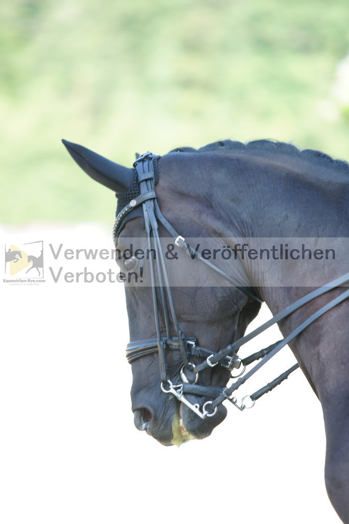 DSC02915 | equestrian-live-com