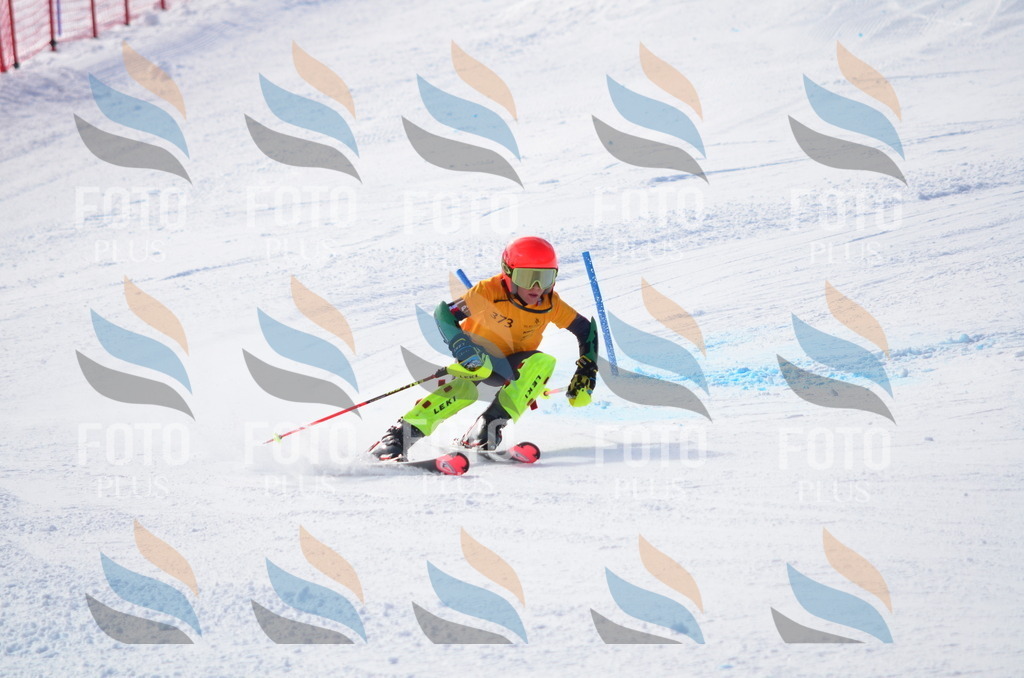 C8753 | holidayphoto