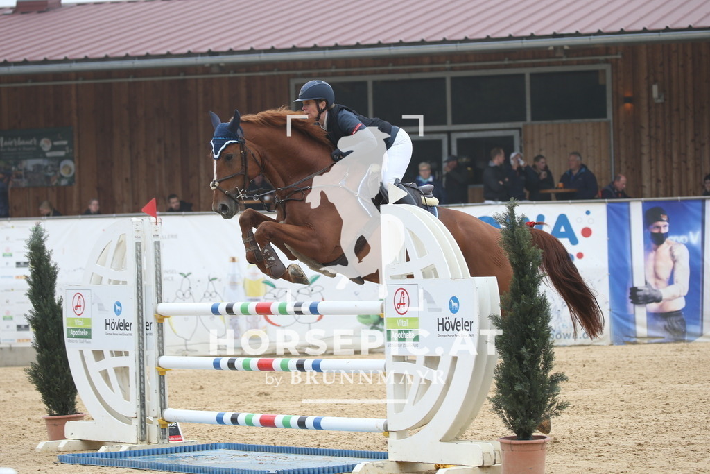 DL2Q3666 | Willkommen bei Brunnmayr - Design & Fotografie – Ihrem Spezialisten für Reitturniere und Pferdeveranstaltungen in Oberösterreich, Salzburg und Bayern! Seit über 17 Jahren sind wir leidenschaftlich dabei.