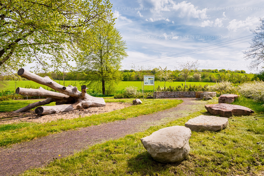 Mammendorf Wall _ Dorf-2844 | Park Eichenbarleben - Realisiert mit Pictrs.com