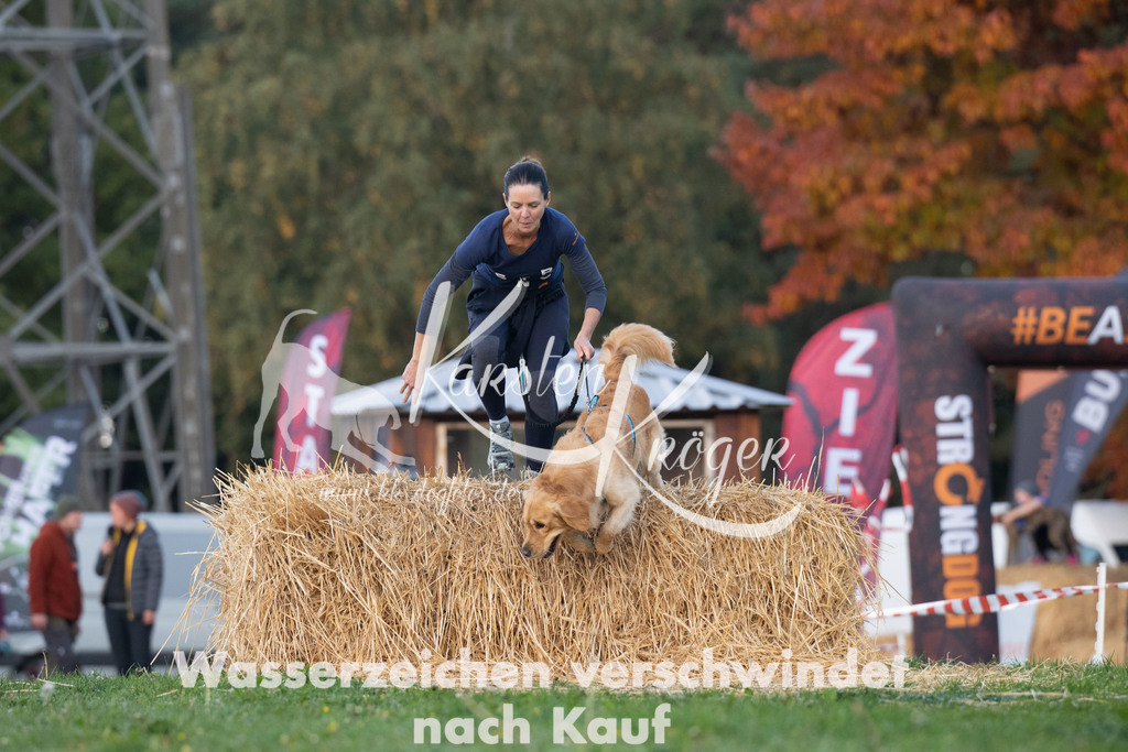 0905_ZZ92430 | kk-dogfotos