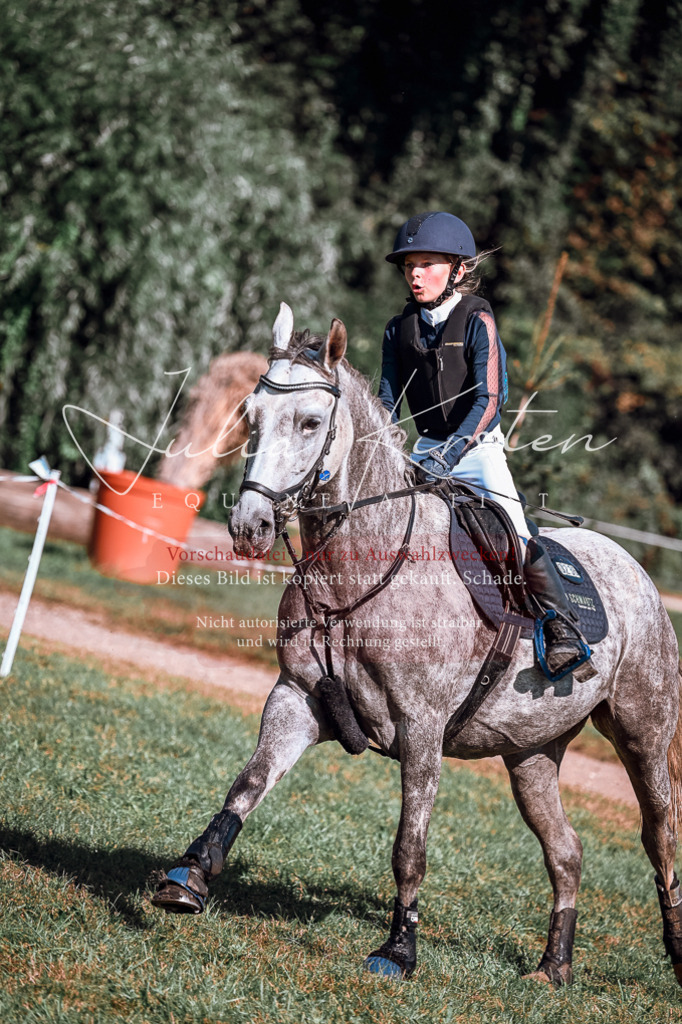 DSC_1172 | Pferde- und Turnierfotografie in Westsachsen. Pferdeportraits, Auftragszeichnungen und intuitive Kunst.
