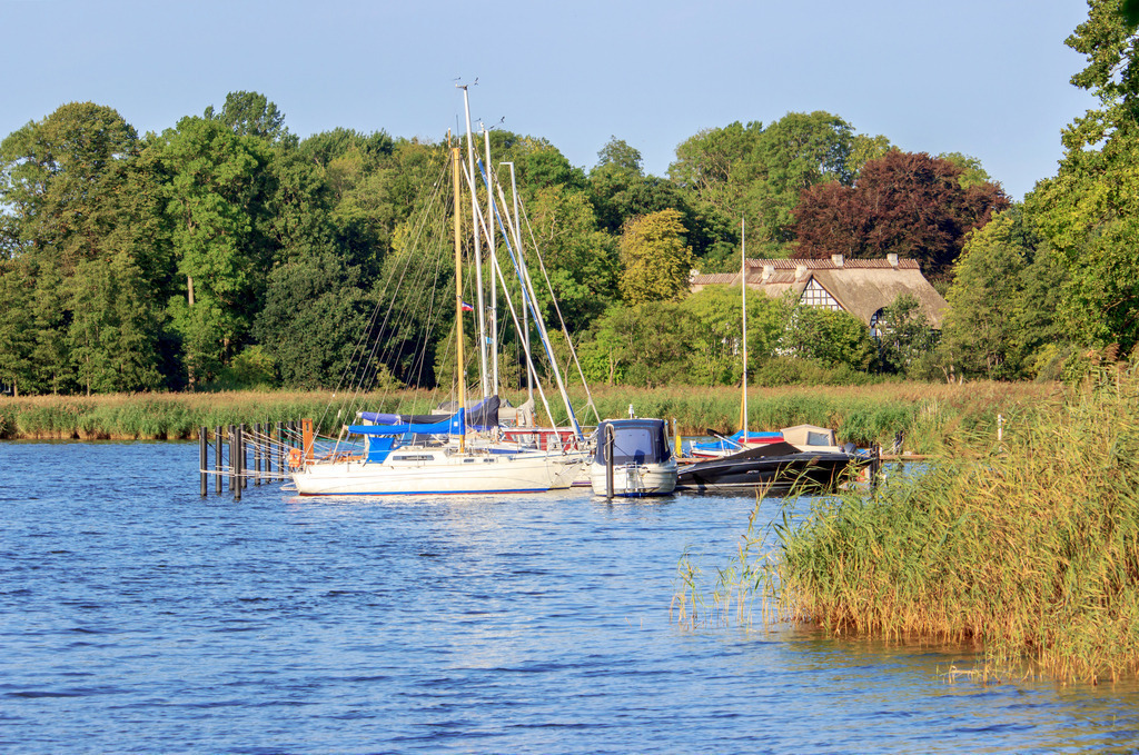 Wandbild: Segelboote auf der Schlei in Lindaunis | Dieses Wandbild im Querformat zeigt Segelboote auf der Schlei in Lindaunis. Im Hintergrund ist ein Haus am Wald zu sehen. Der blaue Himmel ist wolkenlos - Realisiert mit Pictrs.com
