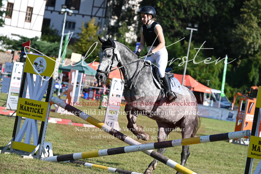 DSC_4869 | Pferde- und Turnierfotografie in Westsachsen. Pferdeportraits, Auftragszeichnungen und intuitive Kunst.