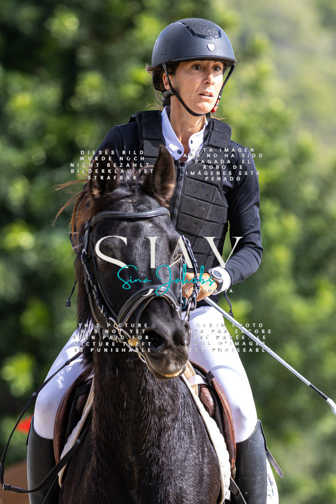 IMG_2527 | s-jay-photography - Realisiert mit Pictrs.com