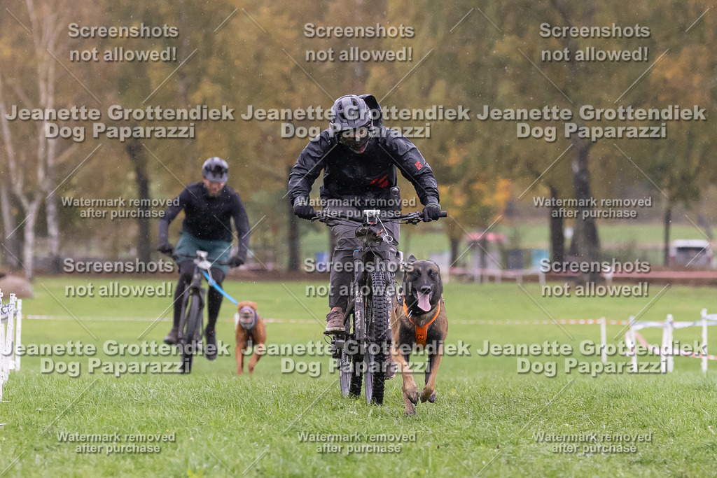 Dog Paparazzi - SD CaniX Championship 2025-948 | Dog Paparazzi Jeanette Grottendiek Fotografie & Videografie - Realisiert mit Pictrs.com