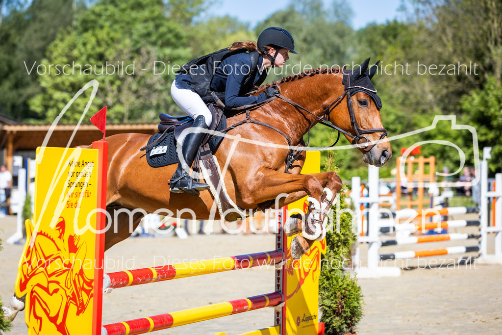 Donop24-A2Spr-087 | MomenTaufnahmen Pferdesportfotos