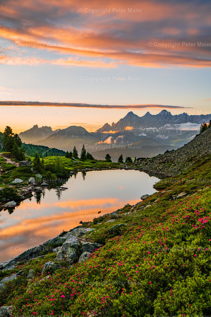 Landschaft Divers9 | piet_flosse