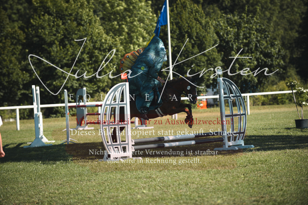 DSC_7648 | Pferde- und Turnierfotografie in Westsachsen. Pferdeportraits, Auftragszeichnungen und intuitive Kunst.