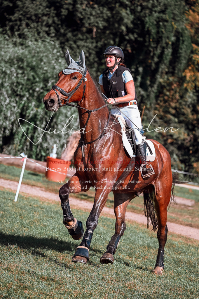 DSC_1010 | Pferde- und Turnierfotografie in Westsachsen. Pferdeportraits, Auftragszeichnungen und intuitive Kunst.