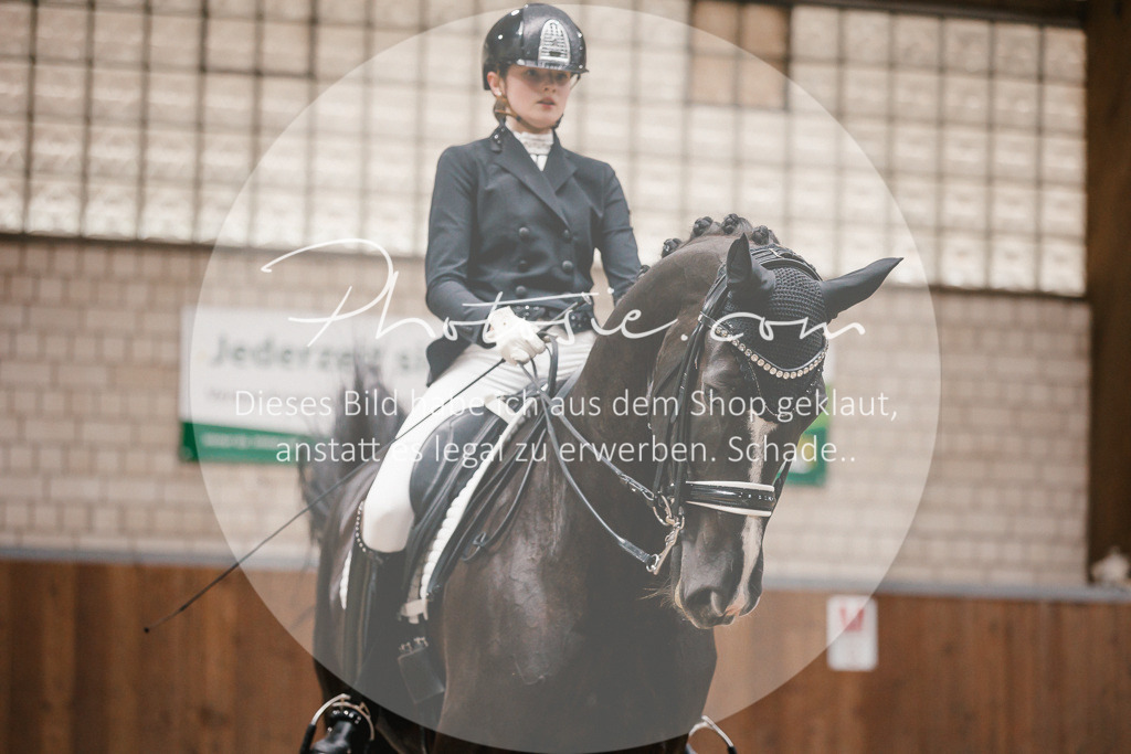 3I6A8820 | Stimmungsvolle Portraits und Reitsportfotografie im Ruhrgebiet und im Münsterland.

Pferdefotografie, Hundefotografie, Tierfotografie, Reportagen, Portraits von Tier und Mensch, Turnierfotografie in Bochum, Recklinghausen, Marl, Haltern am See, Dülmen.. - Realisiert mit Pictrs.com