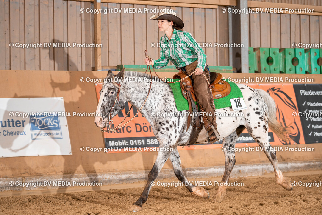 Losheim Tag 1-352 | dv-media-shop - Realisiert mit Pictrs.com