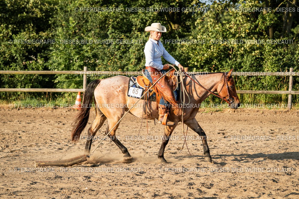 DSC06268 | Pferdegrafie