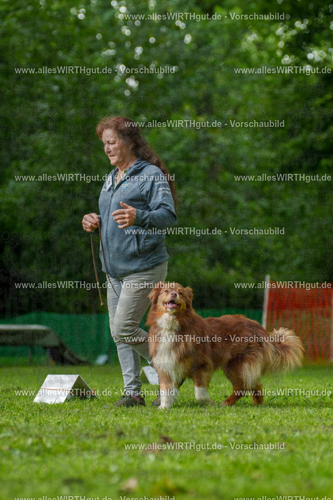 @allesWIRTHgut_Tierfotografie - www.allesWIRTHgut.de - 7R505085 | Professionelle Tierfotografie in Mönchengladbach von Daniel Wirth (allesWIRTHgut). Liebevolle & natürliche Bilder von Hunden & Katzen für unvergessliche Erinnerungen.