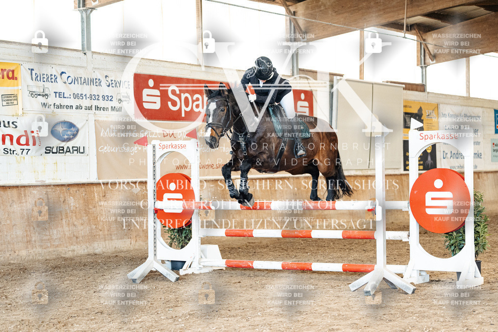 CK905365 | Turnierfotografie Pferdefotografie Trier Rheinland-Pfalz Pferdesport Reitsport Tierfotografie Sportfotografie Pferdevideo Pferdevideografie Equestrianvideography equestrianphotography  - Realized with Pictrs.com