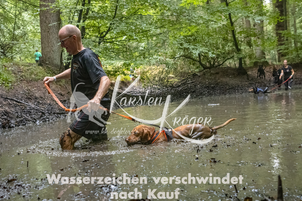 1147_ZZ91764-Bearbeitet-2 | kk-dogfotos