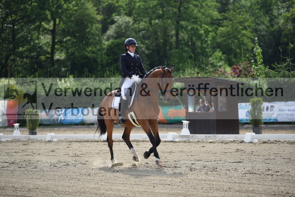 DSC_5574 | equestrian-live-com
