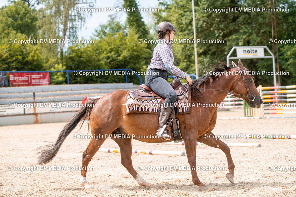 EWP_6598 | dv-media-shop - Realisiert mit Pictrs.com