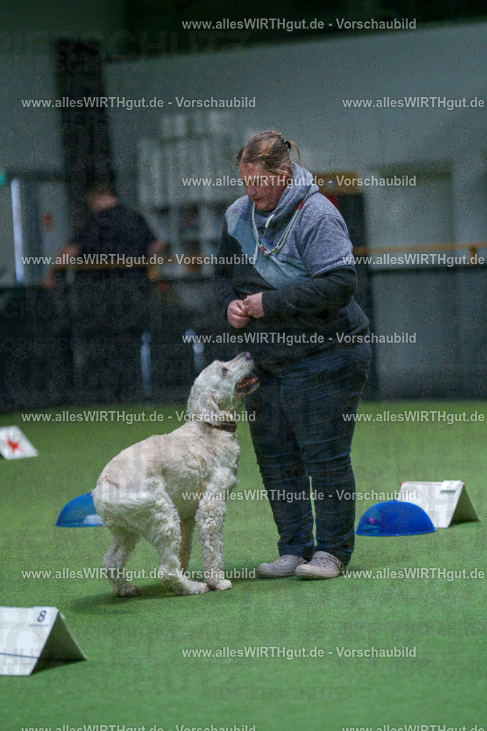 7R502805 | Professionelle Tierfotografie in Mönchengladbach von Daniel Wirth (allesWIRTHgut). Liebevolle & natürliche Bilder von Hunden & Katzen für unvergessliche Erinnerungen.