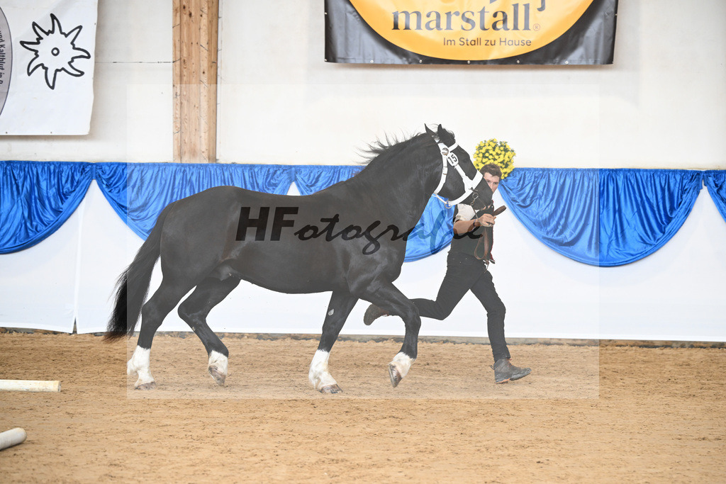 Kat-Nr. 15 Ruediger vom Ploesslhof v. Ramminger_Siglbauer_39250227 | hf-fotografie - Realizzato con Pictrs.com
