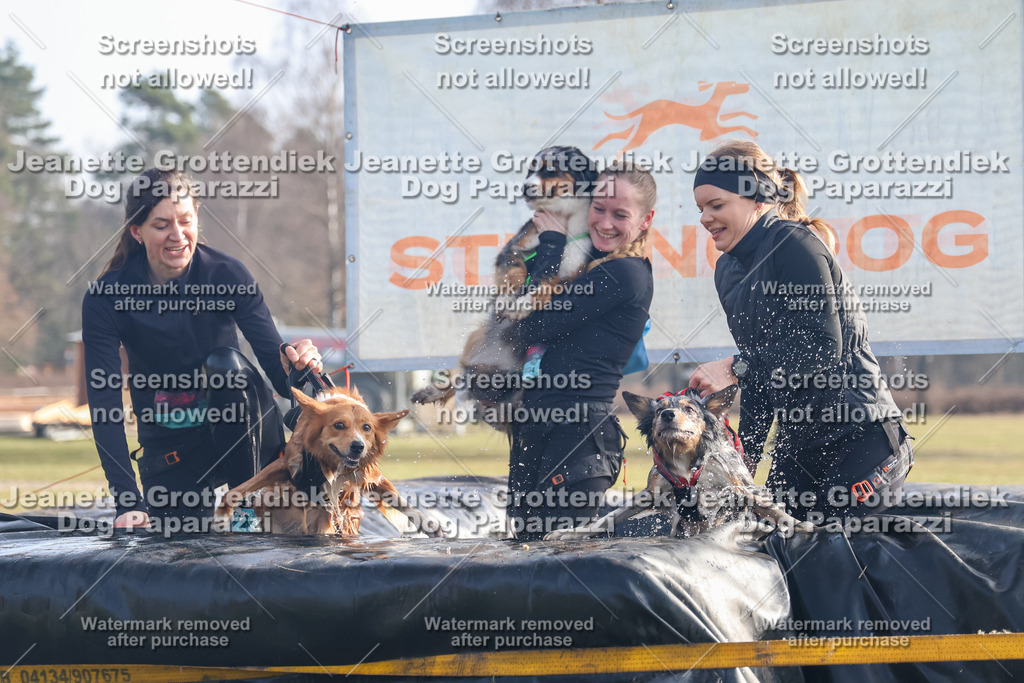 Dog Paparazzi - Strongdog North Mrz26-297 | Dog Paparazzi Jeanette Grottendiek Fotografie & Videografie - Realisiert mit Pictrs.com