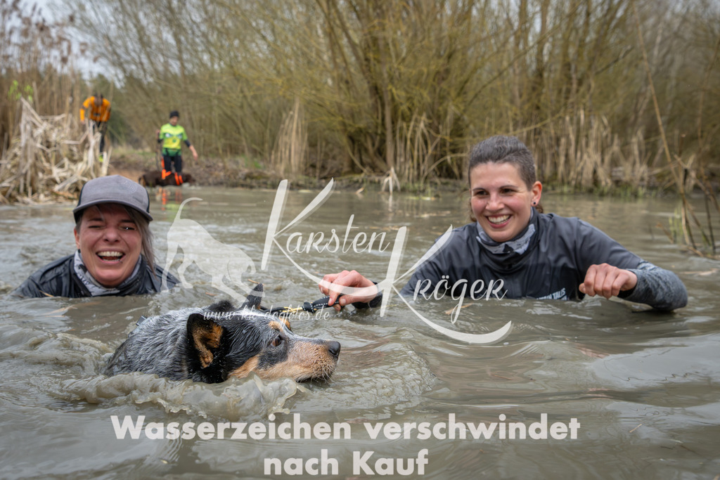 1355_ZZ94478 | kk-dogfotos