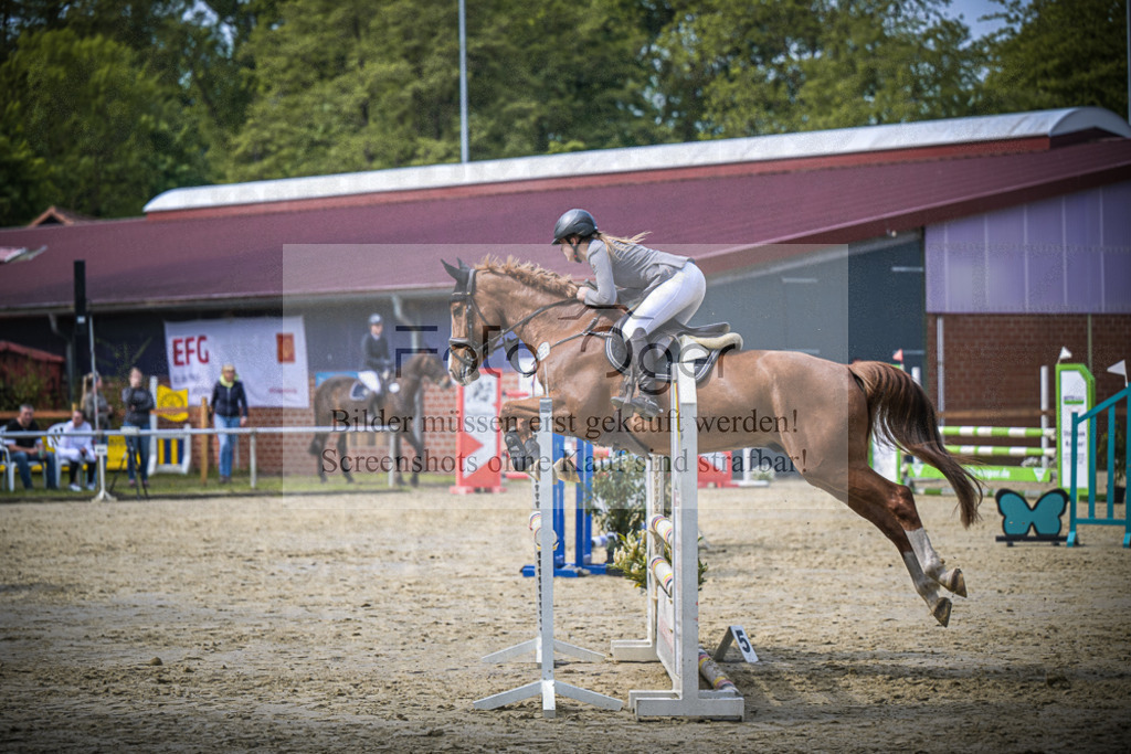 DOS_6725 | Entdecke hochwertige Reitturnierfotos von Foto Oger. Professionell, emotional und authentisch – jetzt Lieblingsmomente im Shop bestellen.Deutschlandweite Turnierfotografie. - Realisiert mit Pictrs.com