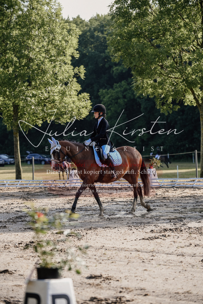 DSC_7777 | Pferde- und Turnierfotografie in Westsachsen. Pferdeportraits, Auftragszeichnungen und intuitive Kunst.