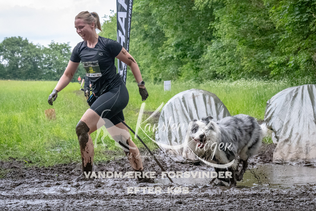 1629_ZZ94256-Bearbeitet | kk-dogfotos