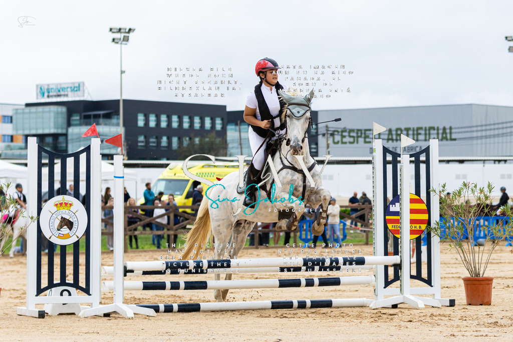 IMG_1336 | s-jay-photography - Realisiert mit Pictrs.com