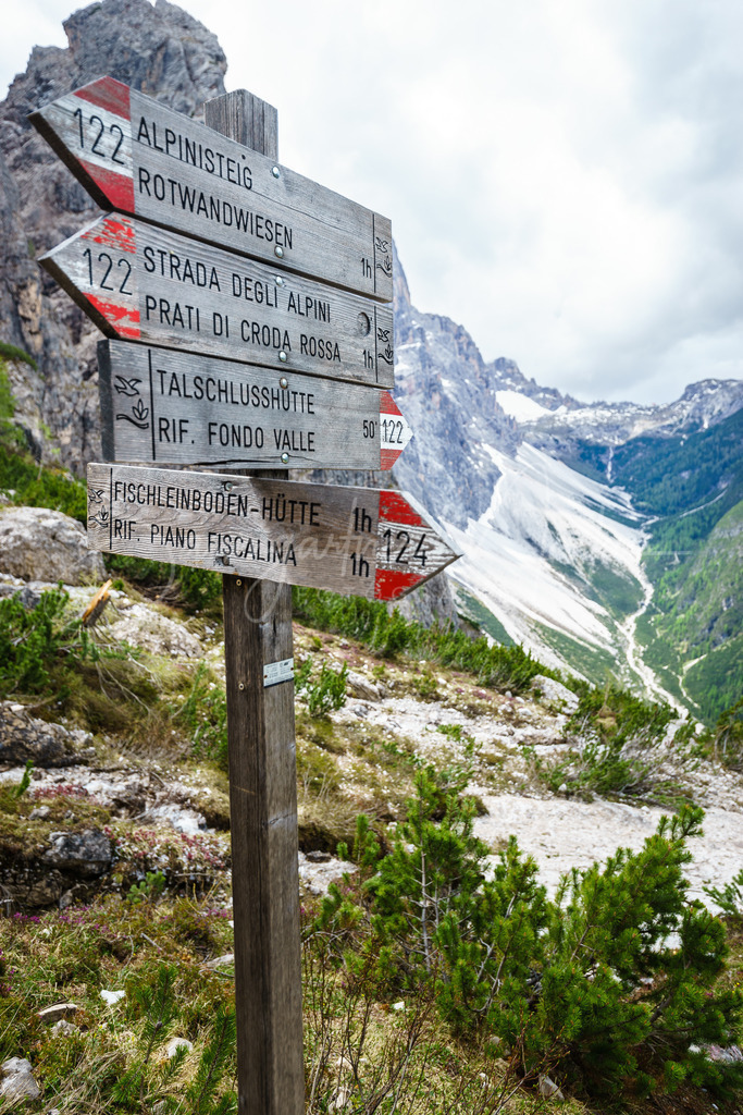 _DSC4827 | Baumgartner Markus Fotografie