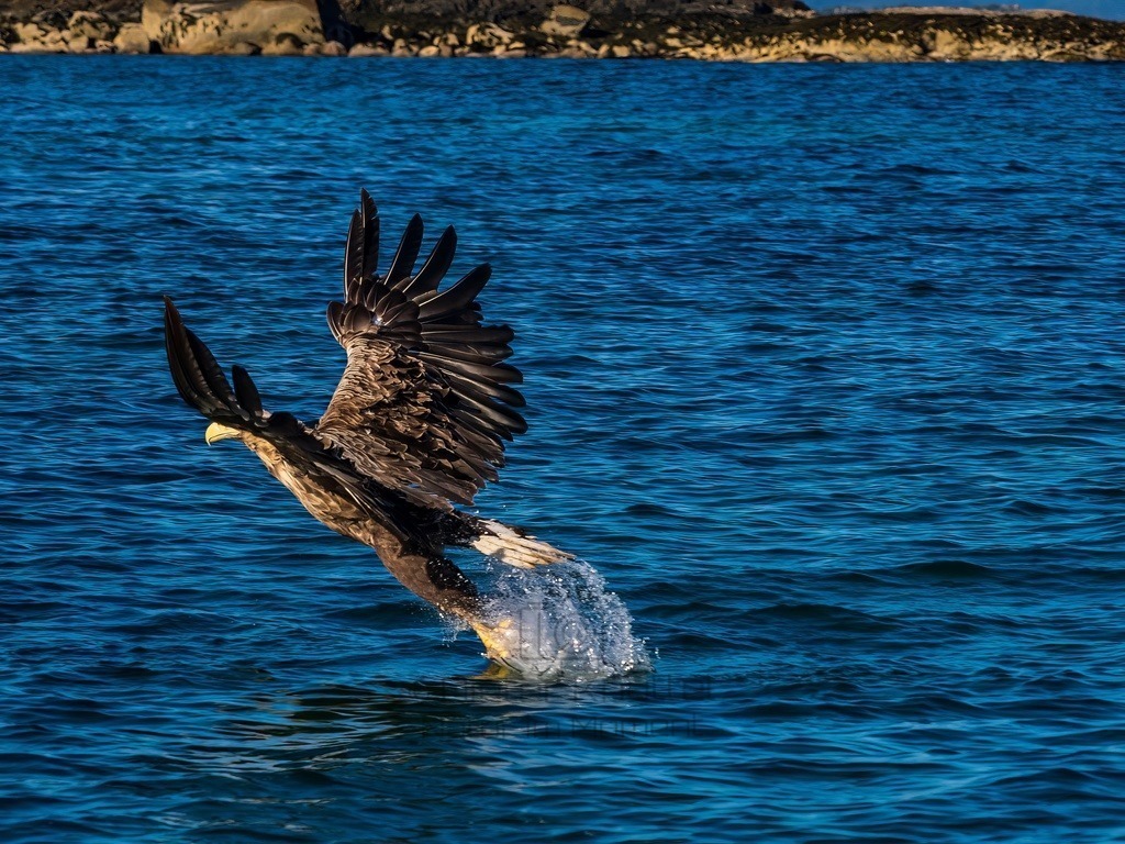 P1001620-LR-topaz-denoise-enhance | Natur im Moment - Realisiert mit Pictrs.com