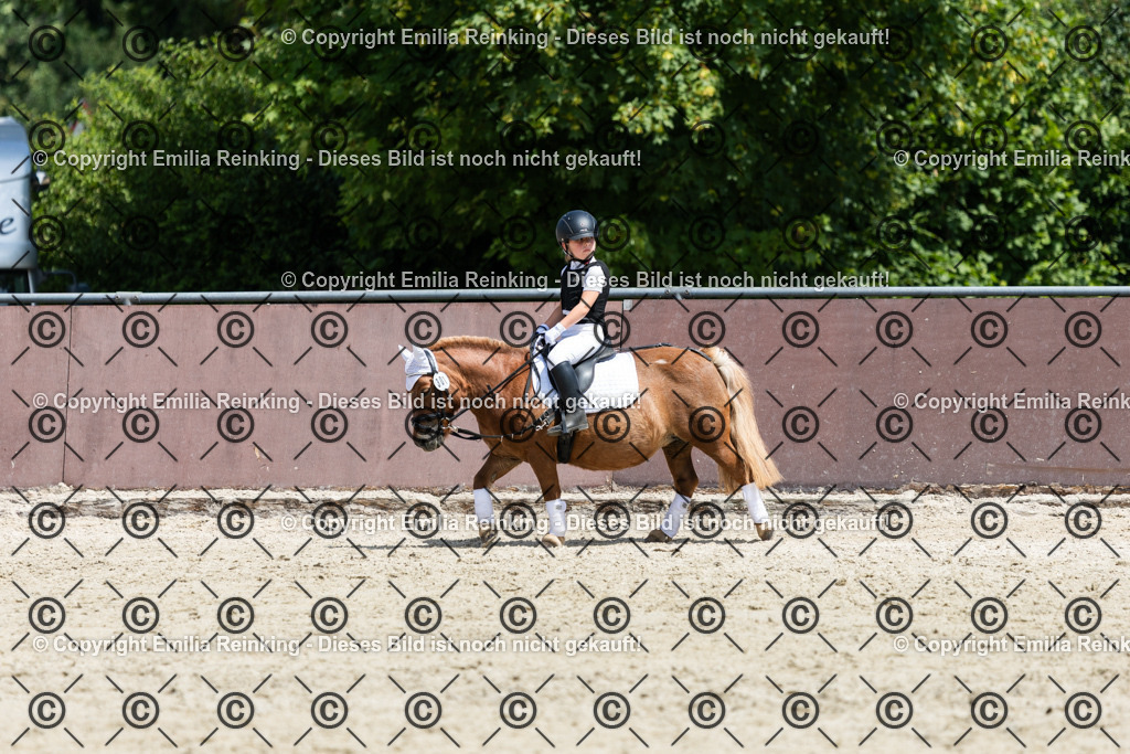 CL5A3630 | Emilia Reinking Fotografie - Realisiert mit Pictrs.com