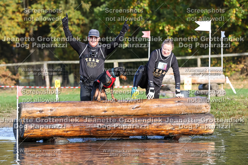 Dog Paparazzi - Strongdog 10-25-8447 | Dog Paparazzi Jeanette Grottendiek Fotografie & Videografie - Realisiert mit Pictrs.com
